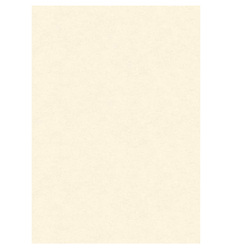 BLISTER 10 DIPLOMI PERGAMENA 210x297mm 160gr neutro avorio KARTOS