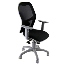 Spruzzatore in plastica 1Litro colori assortiti Perfetto
