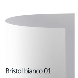 Conf.10 cartoncino Bristol Color 200gr 100x70cm bianco 01 Favini