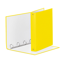 DISPLAY A4 per COLONNINA Securit
