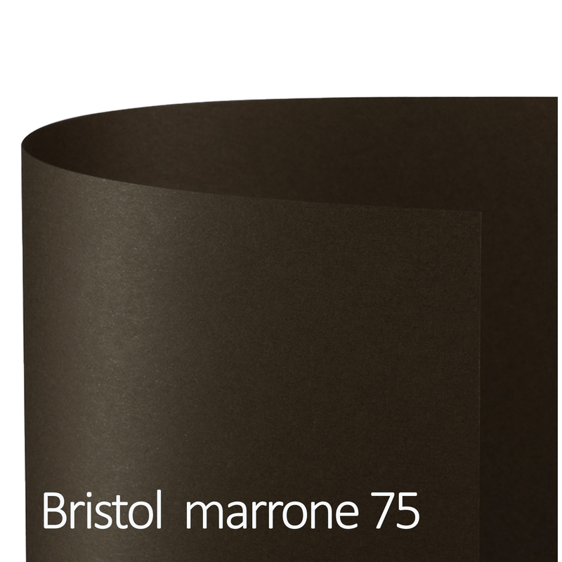 Conf.10 cartoncino Bristol Color 200gr 100x70cm marrone 75 Favini