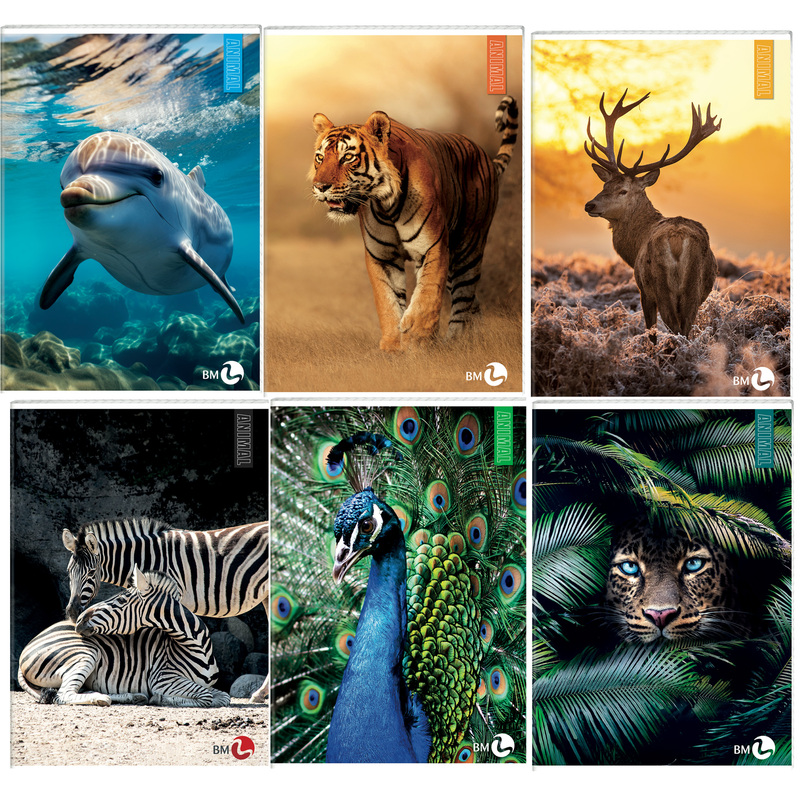 Maxiquaderno A4 40fg+2 80gr 4mm Animal BM