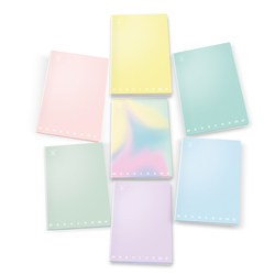 Maxiquaderno A4 80gr 40+2fg 5mm c/margine linea Pastel Monocromo Pigna