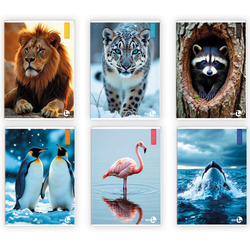 Maxiquaderno A4 40fg+2 80gr 4mm Animal BM