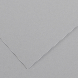 Foglio COLORLINE 70x100 cm 220 gr. 35 Grigio chiaro