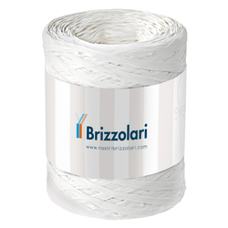BLISTER 2 PILE LITIO DURACELL 3V (DL2032)