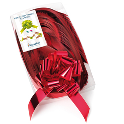 Rafia sintetica 6802 5mmx200mt colore lilla 16 Brizzolari