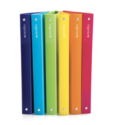 Raccoglitore Colorosa 4R D15mm col.ass 245x307mm