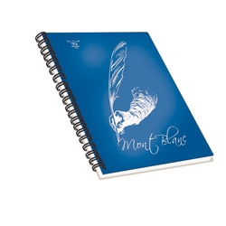 Classificatore valigetta c/maniglia cristallo 33x29 cm - 24 tasche Exacompta