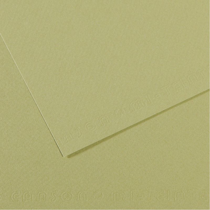Foglio MI-TEINTES A4 160 gr. 480 verde mandorla