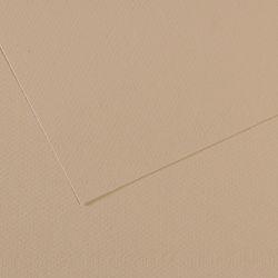 Foglio MI-TEINTES A4 cm 160 gr. 343 grigio trianon
