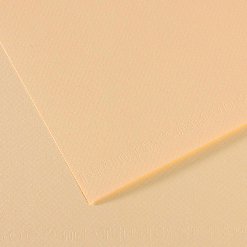 Foglio MI-TEINTES A4 cm 160 gr. 111 avorio