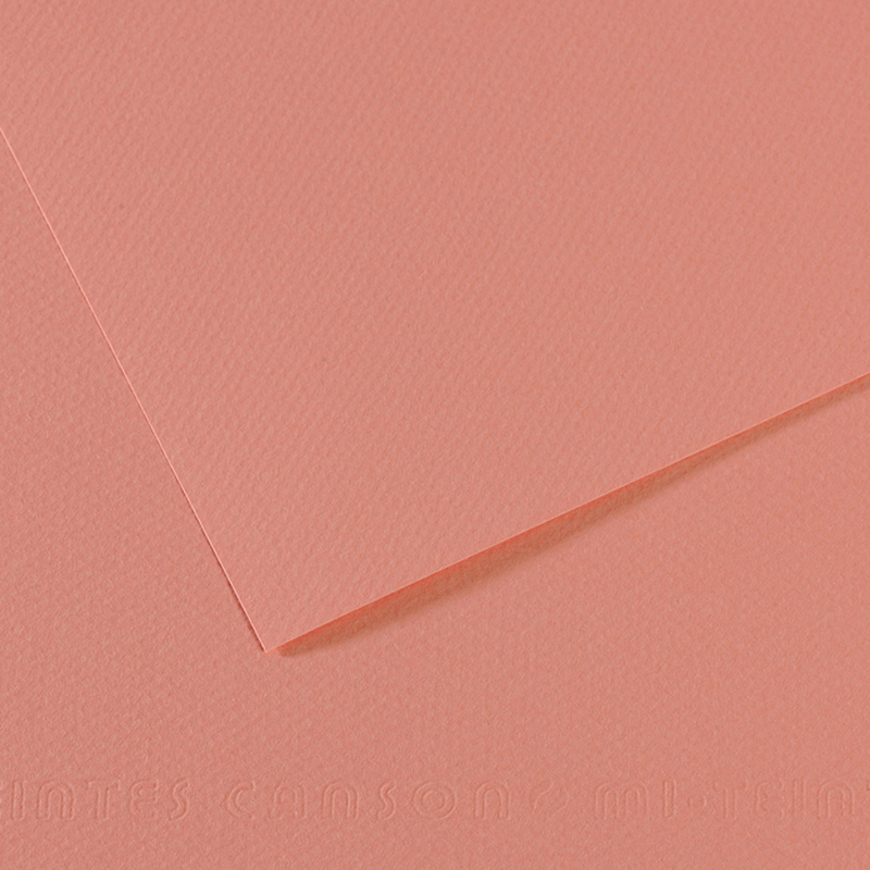 Foglio MI-TEINTES A4 cm 160 gr. 352 rosa scuro