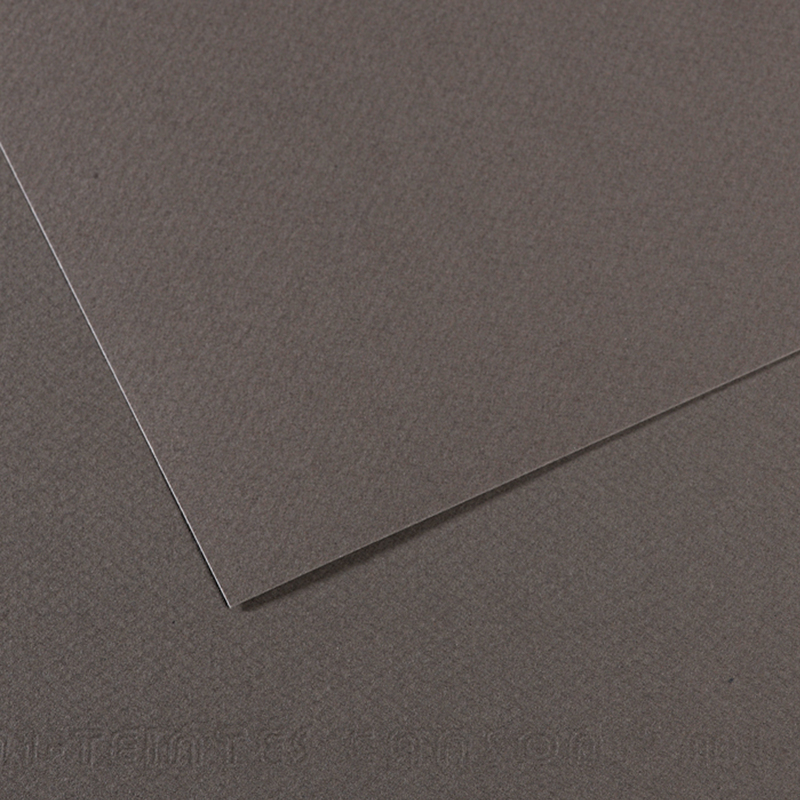 Foglio MI-TEINTES A4 cm 160 gr. 345 grigio ardesia