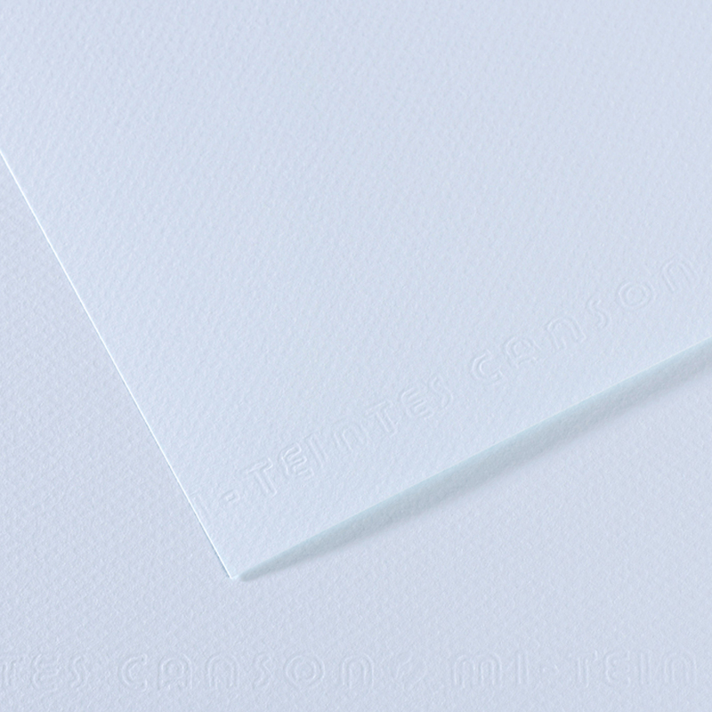 Foglio MI-TEINTES A4 cm 160 gr. 102 azzurro (Delist)