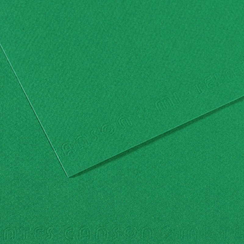 Foglio MI-TEINTES A4 cm 160 gr. 575 verde biliardo