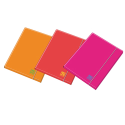 Confezione da 20 cuscini assorbenti per Oli ed Idrocarburi 25x25cm