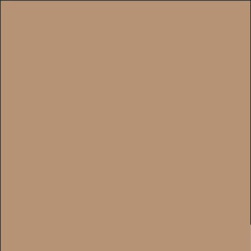 500 Cartine antigrasso per alimenti color avana 33x32,5cm Leone
