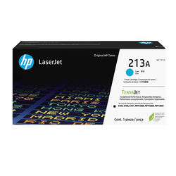 Estensione di garanzia HP CP - NBD - T250 24in - 4 Anni