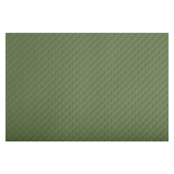 Conf 500 tovagliette monouso Tiss Lack 30x40cm carta verde oliva Pro Nappe
