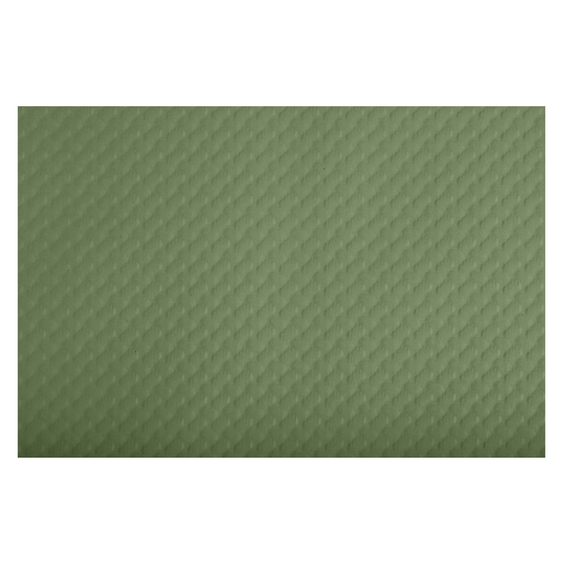 Conf 500 tovagliette monouso Tiss Lack 30x40cm carta verde oliva Pro Nappe