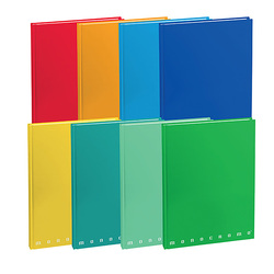 QUADERNO A5 CARTONATO 60fg+2 80gr 4mm MONOCROMO PIGNA