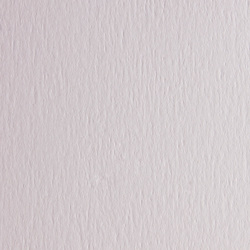 BLISTER 10FG CARTONCINO 70X100 BIANCO 200GR LISCIO FABRIANO FACOLORE