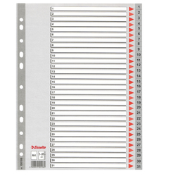 Separatore in PPL grigio numerico 1-31 f.to A4 ESSELTE