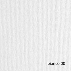 BLISTER 20FG CARTONCINO 50X70 220GR BIANCO 100 FABRIANO ELLE ERRE