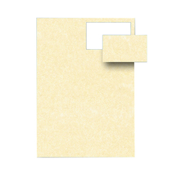 TAMPONE COLOP E/20 BLU