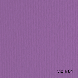 BLISTER 10FG CARTONCINO 70X100 220GR VIOLA 104 FABRIANO ELLE ERRE