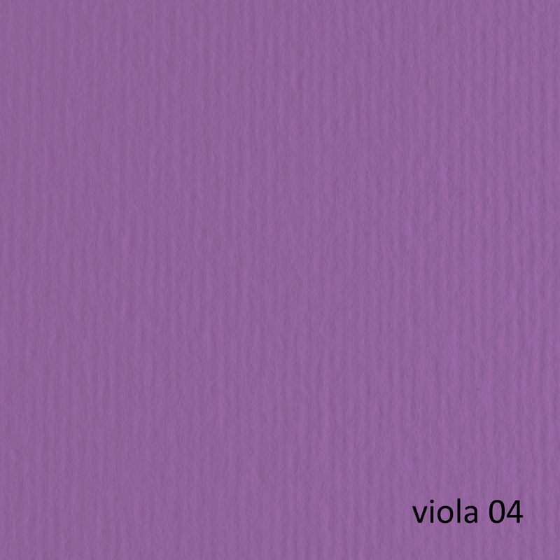 BLISTER 10FG CARTONCINO 70X100 220GR VIOLA 104 FABRIANO ELLE ERRE