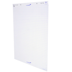 BLOCCO PER LAVAGNA 20FG 65X98CM QUADRETTI LEGAMASTER