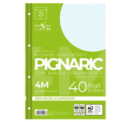 RICAMBI FORATI RINFORZATI A4 4MM 40FG 80GR PIGNARIC