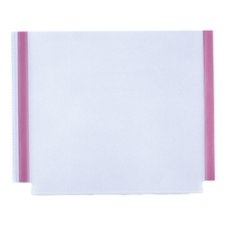 10 TASCHE ADESIVE GS CON SOFFIETTO 22x18CM