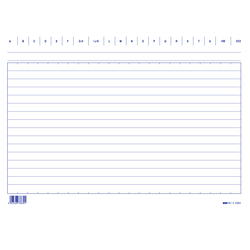100 SCHEDE RIGATE 17X24CM ORIZZONTALE E3363BL EDIPRO