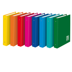 RACCOGLITORE 4 ANELLI D25 18X22CM ONE COLOR 2401 BLASETTI