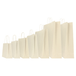CARTELLA A 13 TASCHE 22X30CM TRASPARENTE ICE REXEL