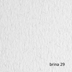 BLISTER 10FG CARTONCINO 70X100 220GR BRINA 129 FABRIANO ELLE ERRE